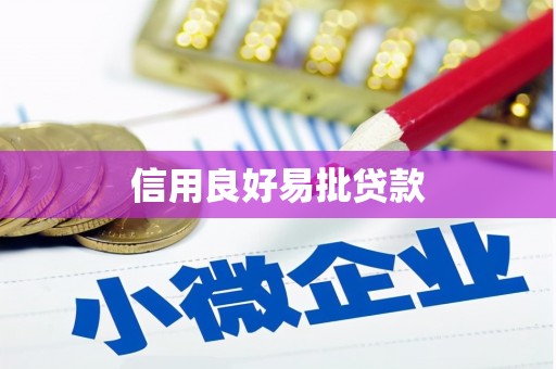 龙文信用良好易批贷款