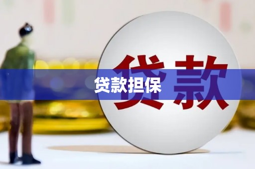 龙文贷款担保