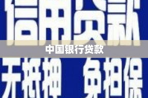 龙文中国银行贷款