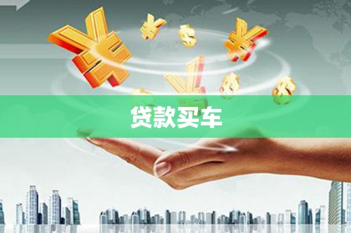 龙文贷款买车