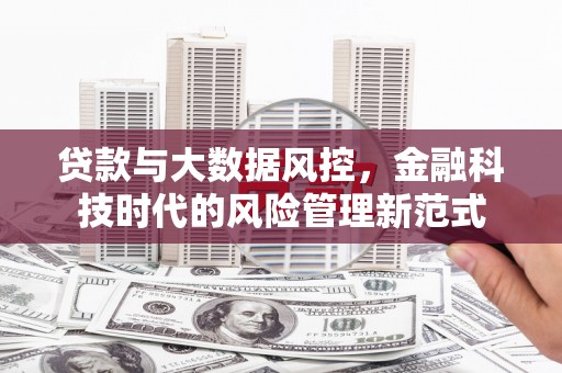 龙文贷款与大数据风控，金融科技时代的风险管理新范式