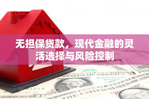 龙文无担保贷款，现代金融的灵活选择与风险控制