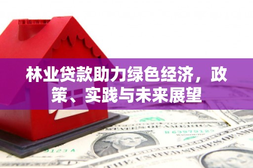 龙文林业贷款助力绿色经济，政策、实践与未来展望