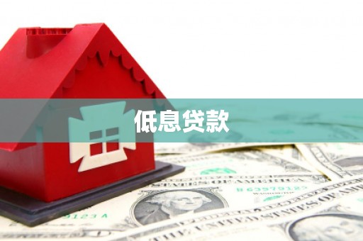 龙文低息贷款
