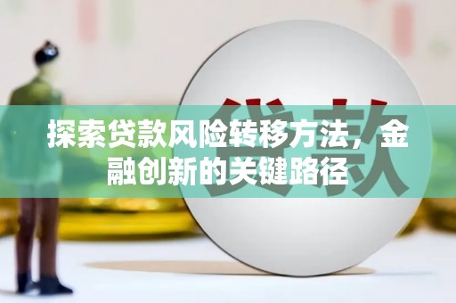 龙文探索贷款风险转移方法，金融创新的关键路径