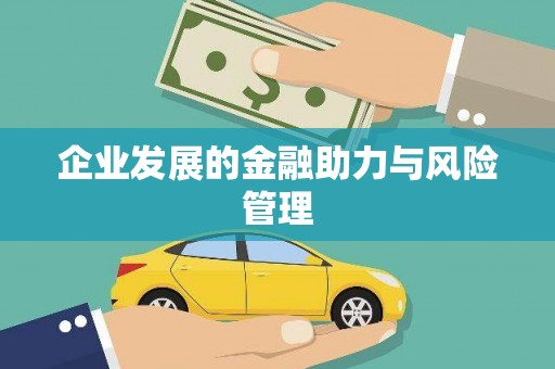 龙文企业发展的金融助力与风险管理