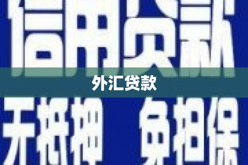 龙文外汇贷款