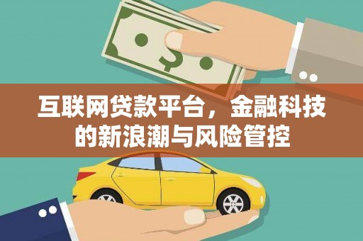 龙文互联网贷款平台，金融科技的新浪潮与风险管控