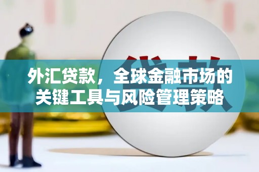 龙文外汇贷款，全球金融市场的关键工具与风险管理策略