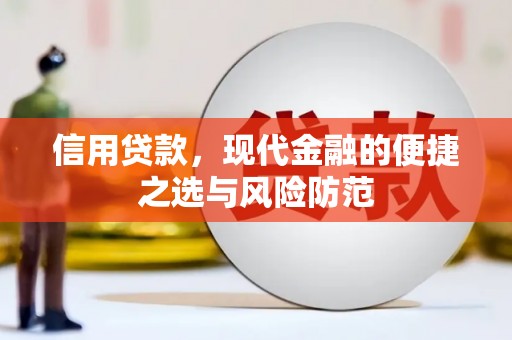 龙文信用贷款，现代金融的便捷之选与风险防范