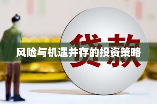 龙文风险与机遇并存的投资策略