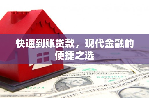 龙文快速到账贷款，现代金融的便捷之选