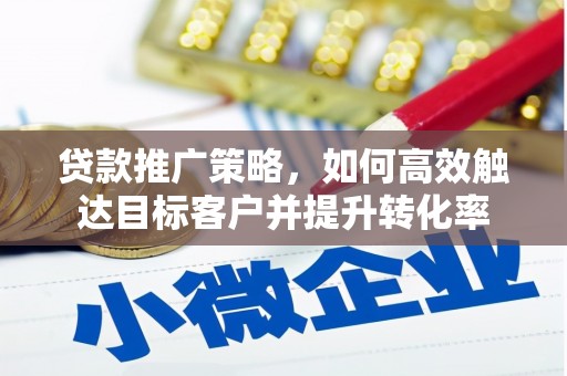 龙文贷款推广策略，如何高效触达目标客户并提升转化率