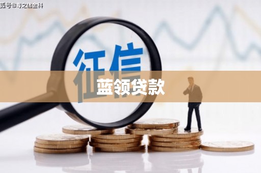 龙文蓝领贷款