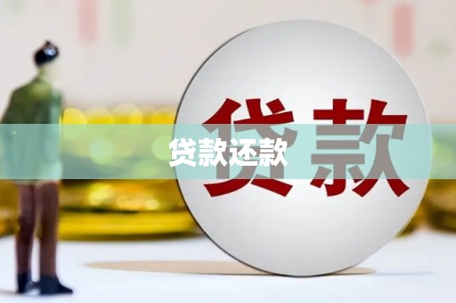 龙文贷款还款