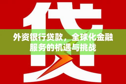 龙文外资银行贷款，全球化金融服务的机遇与挑战