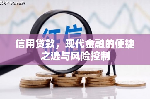 龙文信用贷款，现代金融的便捷之选与风险控制