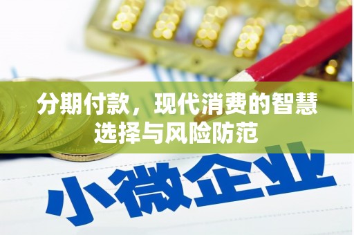 龙文分期付款，现代消费的智慧选择与风险防范