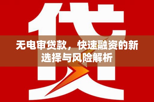龙文无电审贷款，快速融资的新选择与风险解析