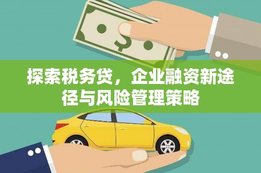 龙文探索税务贷，企业融资新途径与风险管理策略