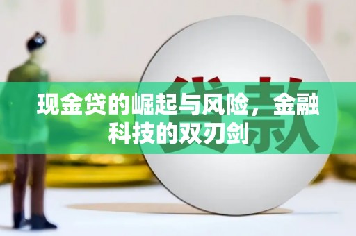 龙文现金贷的崛起与风险，金融科技的双刃剑