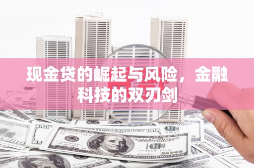 龙文现金贷的崛起与风险，金融科技的双刃剑