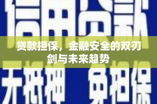 龙文贷款担保，金融安全的双刃剑与未来趋势