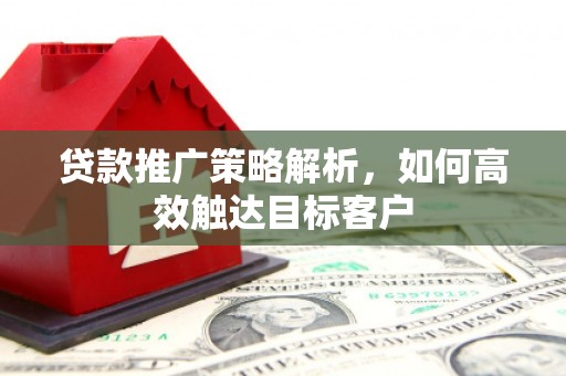 龙文贷款推广策略解析，如何高效触达目标客户