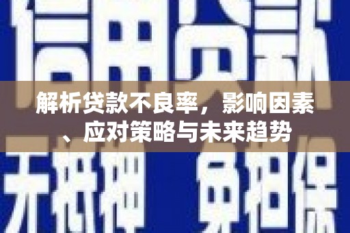 龙文解析贷款不良率，影响因素、应对策略与未来趋势