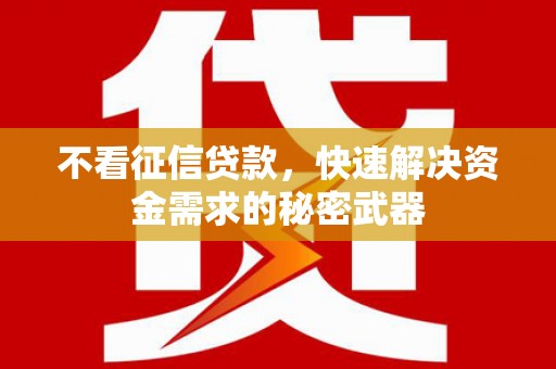龙文不看征信贷款，快速解决资金需求的秘密武器
