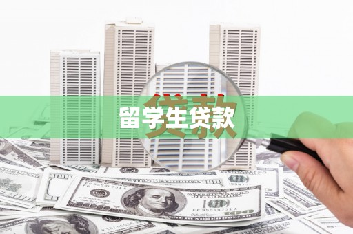 龙文留学生贷款
