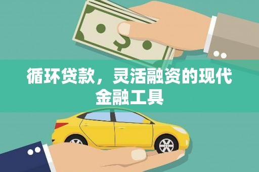 龙文循环贷款，灵活融资的现代金融工具
