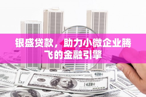 龙文银盛贷款，助力小微企业腾飞的金融引擎