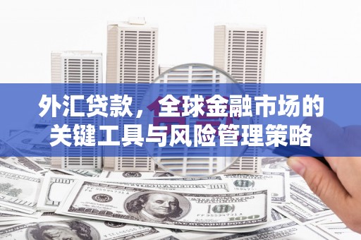 龙文外汇贷款，全球金融市场的关键工具与风险管理策略