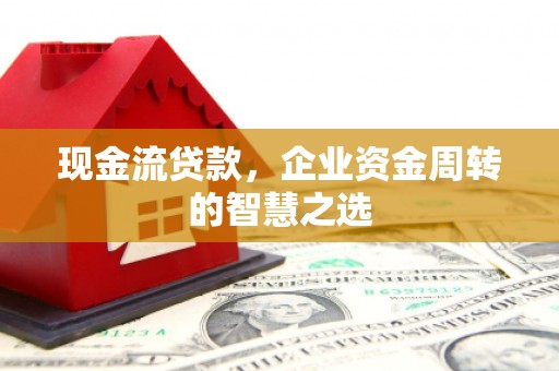 龙文现金流贷款，企业资金周转的智慧之选