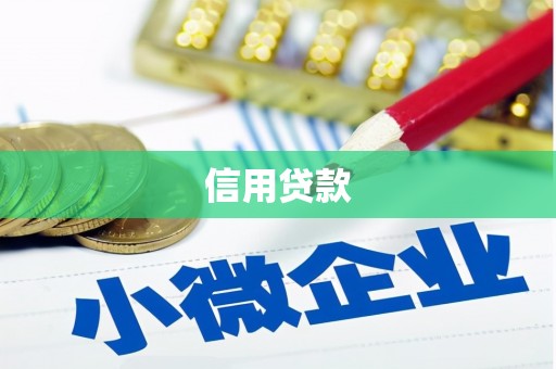 龙文信用贷款
