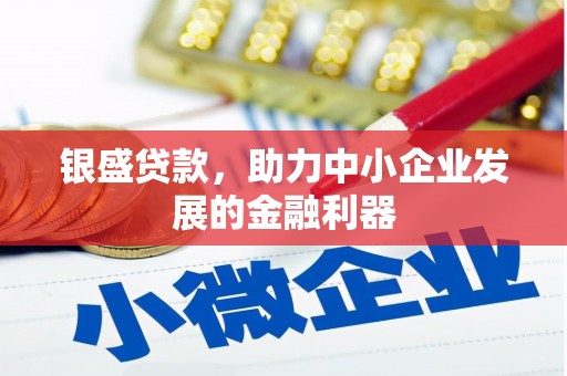 龙文银盛贷款，助力中小企业发展的金融利器