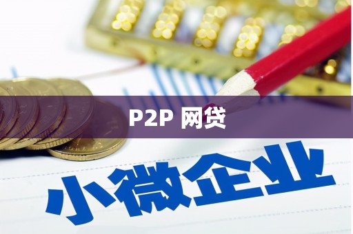 龙文P2P 网贷