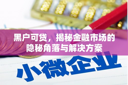 龙文黑户可贷，揭秘金融市场的隐秘角落与解决方案