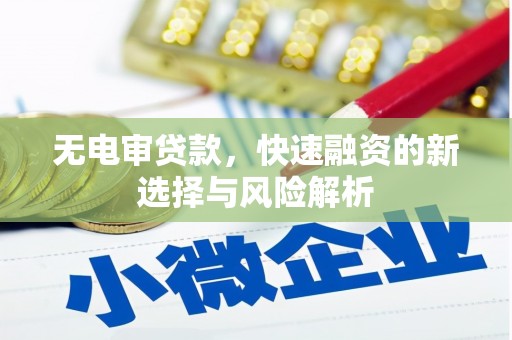 龙文无电审贷款，快速融资的新选择与风险解析