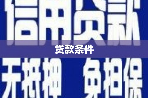 龙文贷款条件