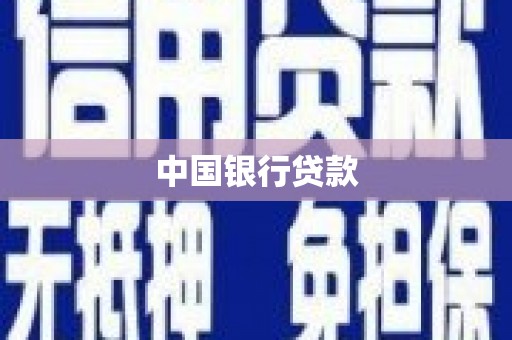 龙文中国银行贷款