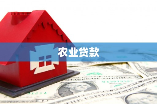 龙文农业贷款