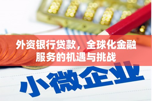 龙文外资银行贷款，全球化金融服务的机遇与挑战