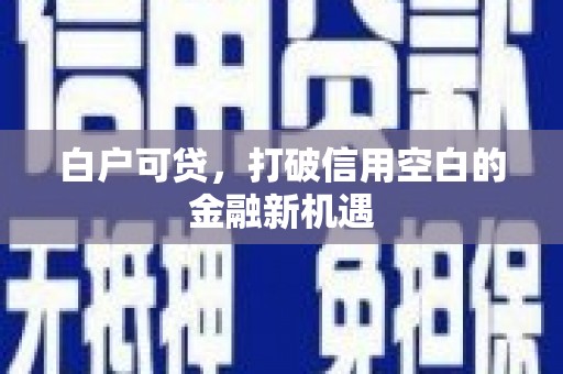 龙文白户可贷，打破信用空白的金融新机遇