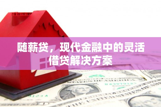 龙文随薪贷，现代金融中的灵活借贷解决方案