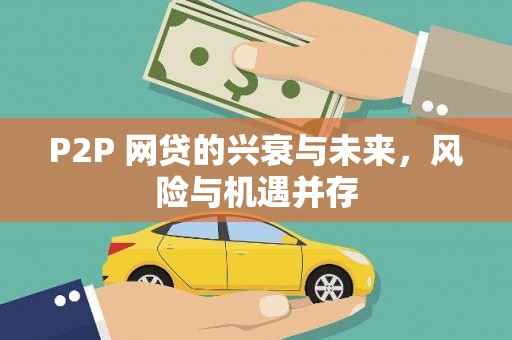 龙文P2P 网贷的兴衰与未来，风险与机遇并存