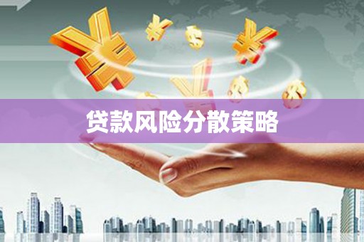 龙文贷款风险分散策略