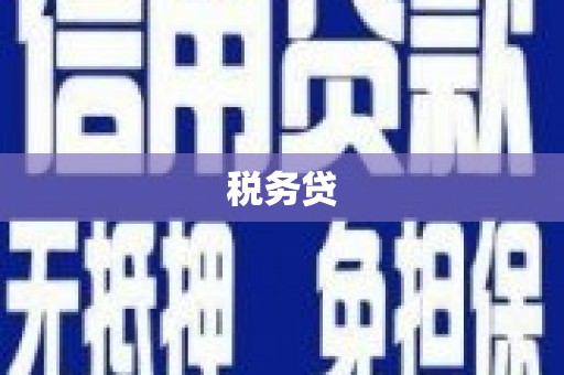 龙文税务贷