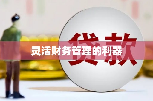 龙文灵活财务管理的利器